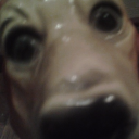 Murglmrgl's Avatar