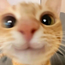 glamport's Avatar