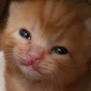 munanyo's avatar