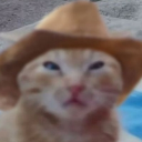 𝐻𝑒𝓁𝓁𝑜 𝒮𝒾𝓇𝒾  ✶⋆.˚'s Avatar
