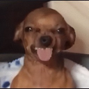 jacks's avatar