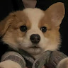 Jimmy Cao's avatar